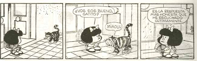 Mafaldaanimales